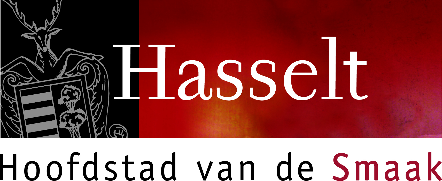 Stad Hasselt